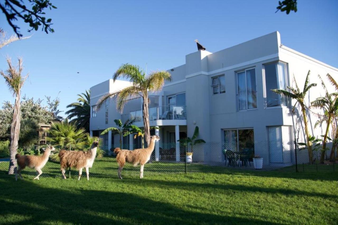 Lamabeach City Farm Cape Town Exterior photo